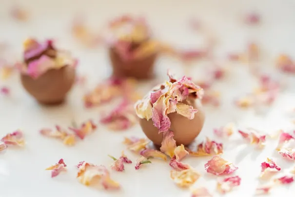 Casino Chilli Spins Android/iOS rakendus